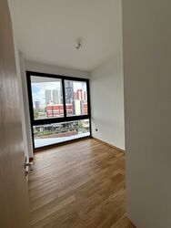 Peak Residence (D11), Condominium #541329761